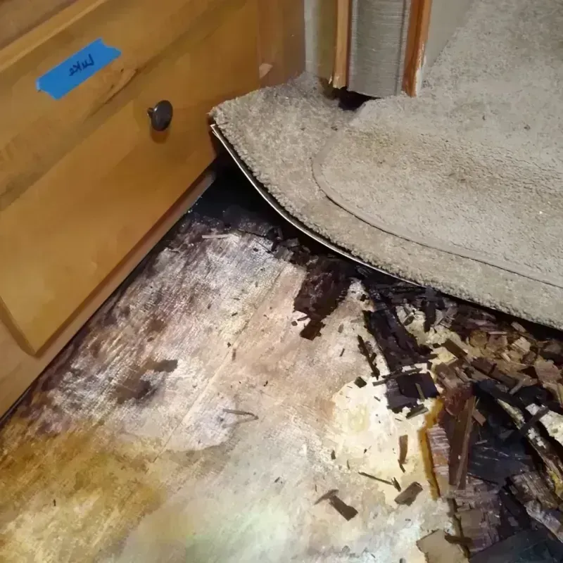 Wood Floor Water Damage in Earlimart, CA